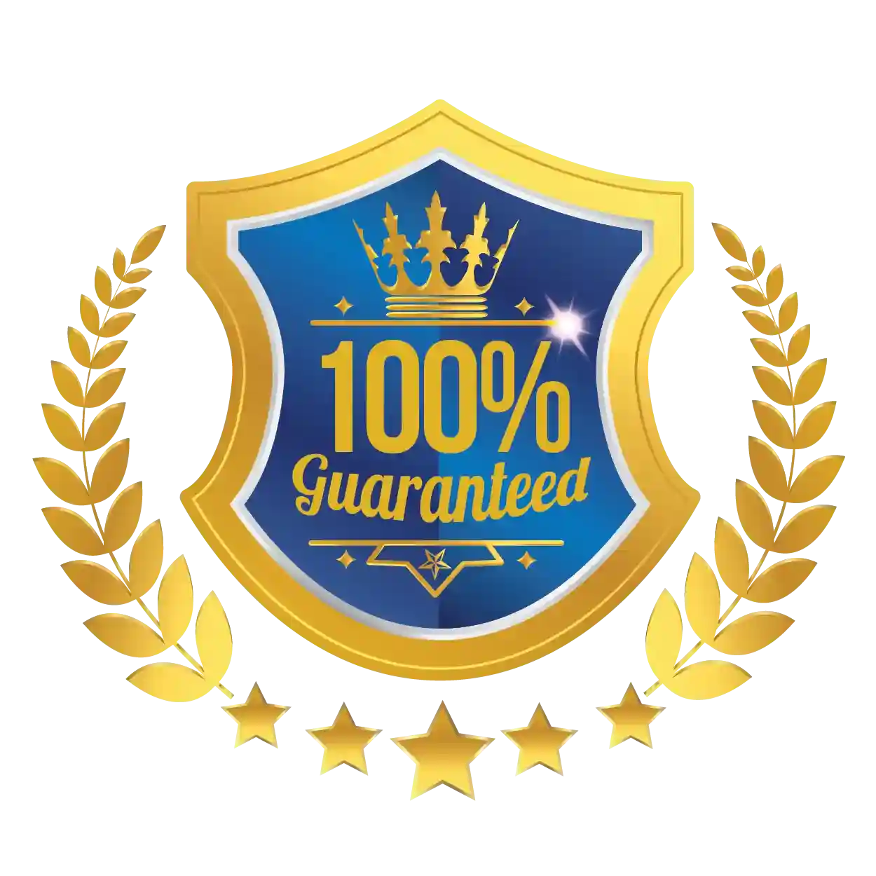 Blue-Award-Warranty-Badges-illustrator-17